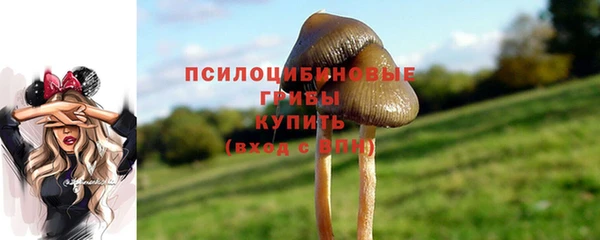 PSILOCYBIN Абинск