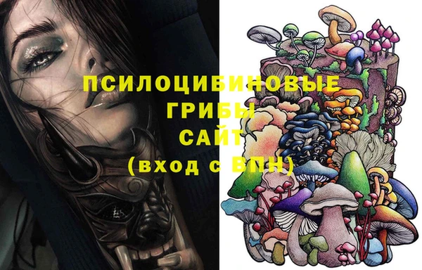 PSILOCYBIN Абинск