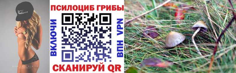Псилоцибиновые грибы прущие грибы  что такое   Алапаевск 